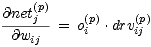 @net(pj) (p) (p)
 @wij = oi .drvij
 
